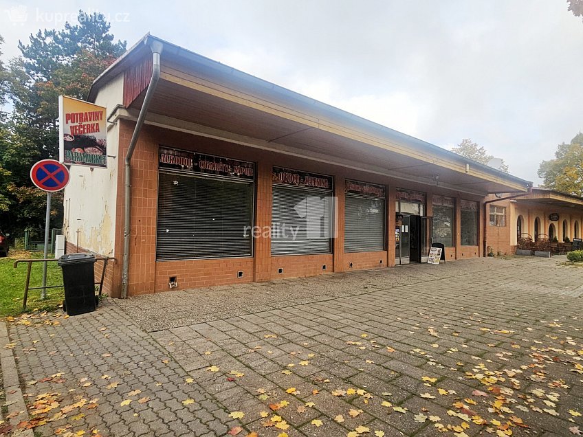 Pronájem  obchodních prostor 160 m^2 9. května, Chvaletice 