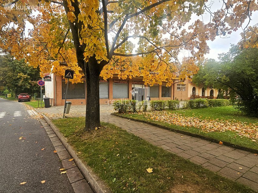 Pronájem  obchodních prostor 160 m^2 9. května, Chvaletice 