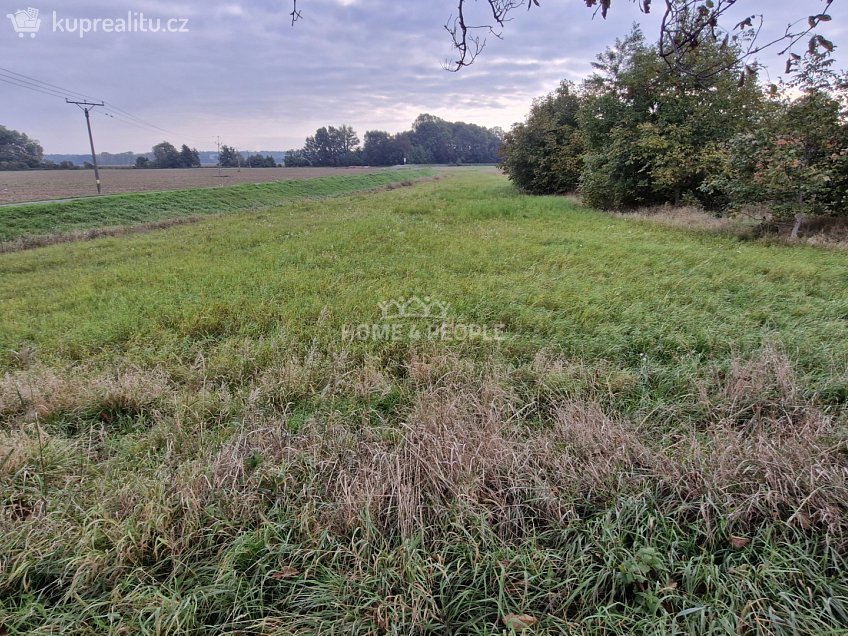 Prodej  stavebního pozemku 2765 m^2 Cvrčovice, Cvrčovice 