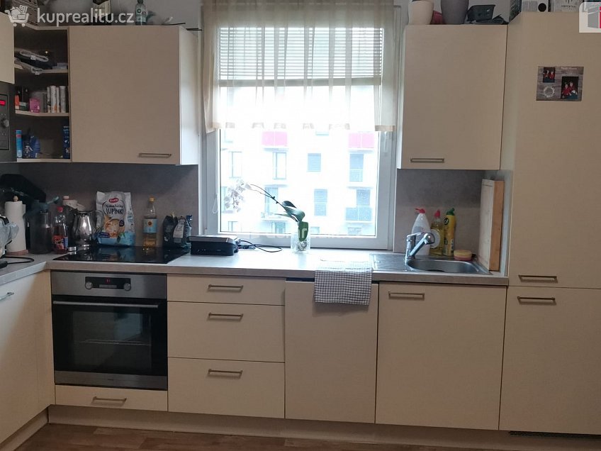 Pronájem bytu 1+kk 33 m^2 Bryksova, Praha 14 
