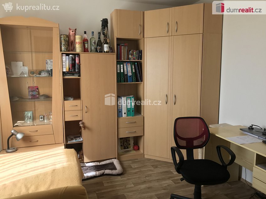 Pronájem bytu 1+kk 33 m^2 Bryksova, Praha 14 