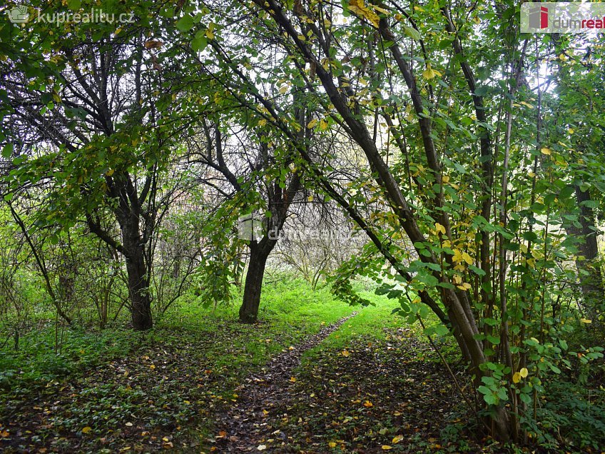 Prodej  stavebního pozemku 1535 m^2 Benešov, Benešov 