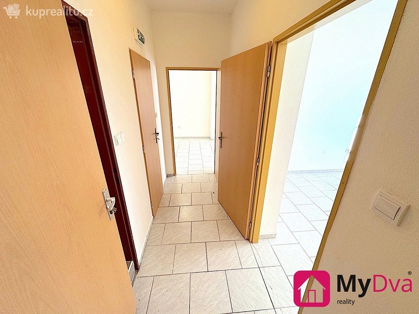 Pronájem  obchodních prostor 50 m^2 Dyje, Dyje 