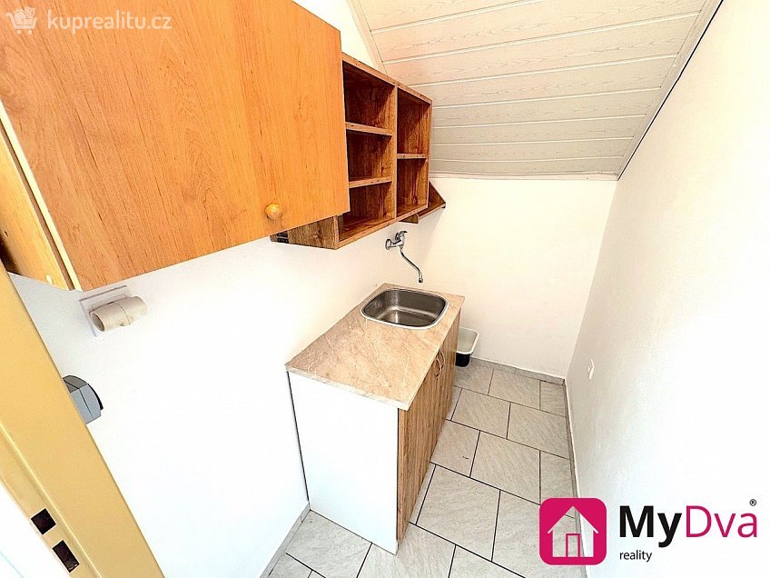 Pronájem  obchodních prostor 50 m^2 Dyje, Dyje 