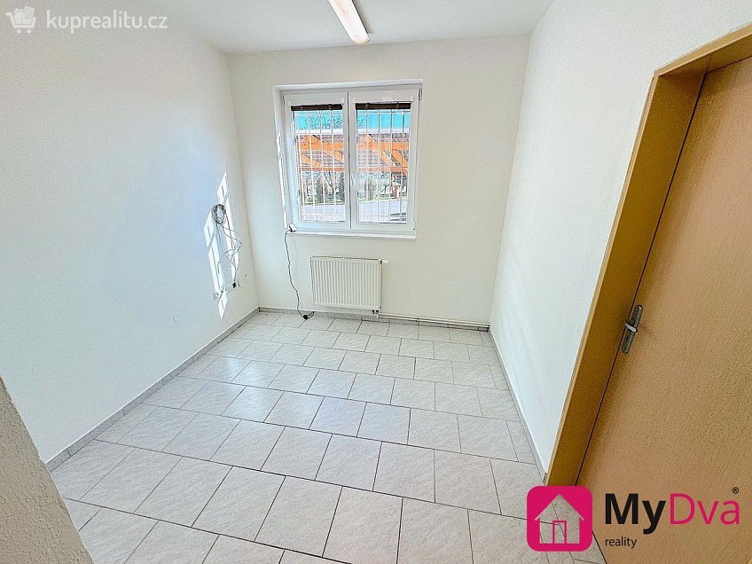 Pronájem  obchodních prostor 50 m^2 Dyje, Dyje 