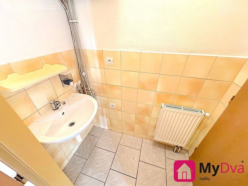 Pronájem  kanceláře 50 m^2 Dyje, Dyje 