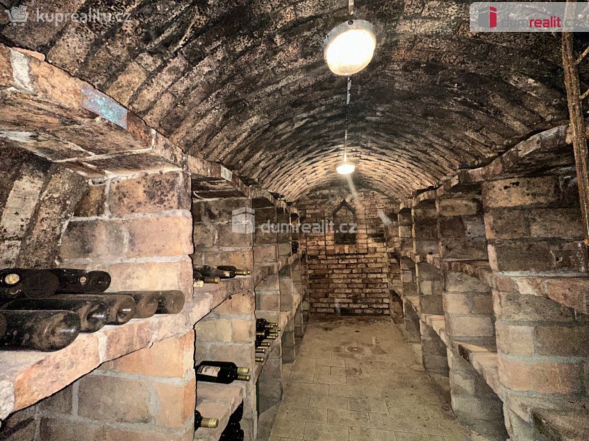 Prodej  garáže 61 m^2 Vinařská, Čejkovice 