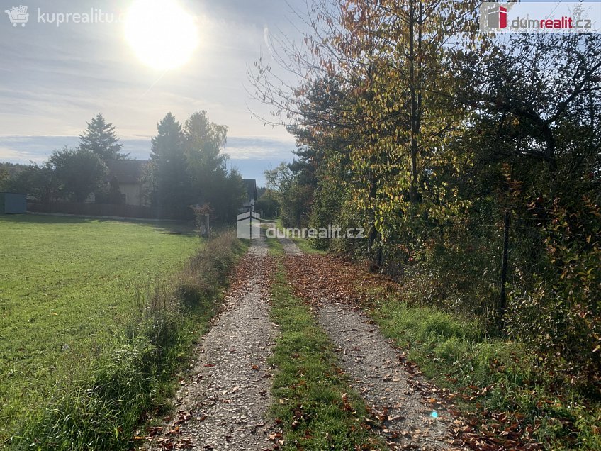 Prodej  stavebního pozemku 3906 m^2 Podbrdy, Podbrdy 