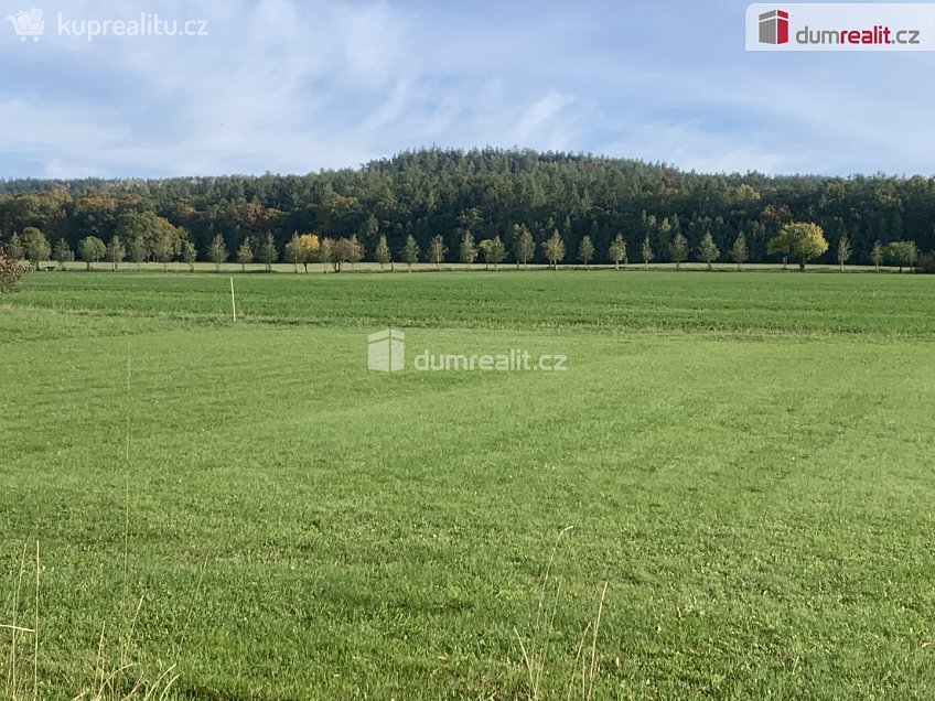 Prodej  stavebního pozemku 3906 m^2 Podbrdy, Podbrdy 