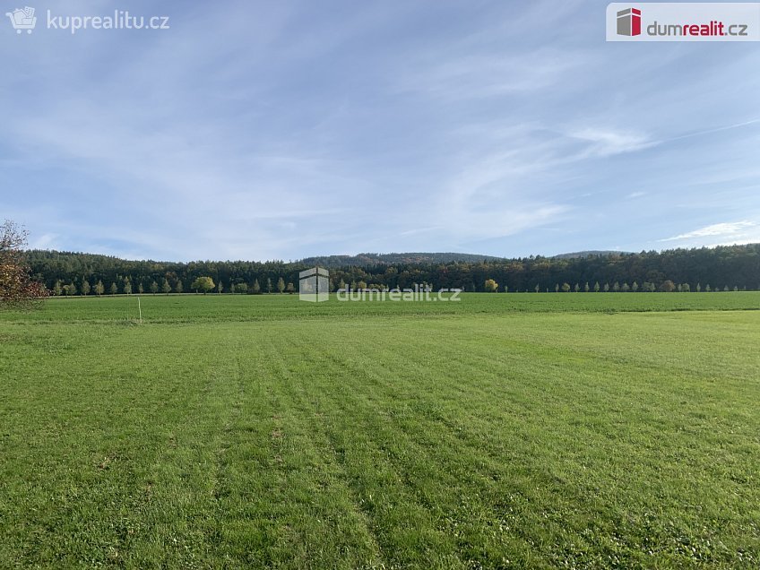 Prodej  stavebního pozemku 3906 m^2 Podbrdy, Podbrdy 