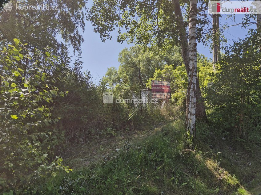 Prodej  zahrady 156 m^2 Martínkovská, Vyšší Brod 