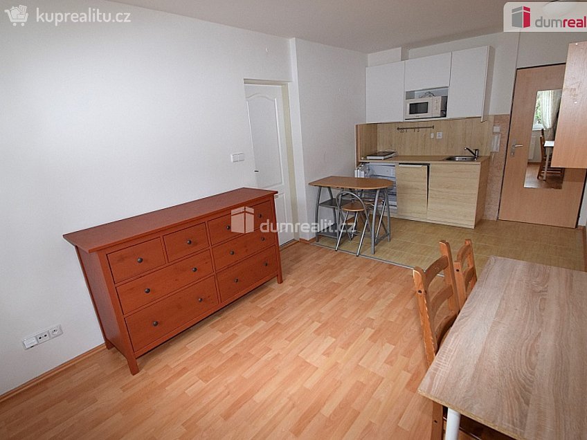 Pronájem bytu 2+kk 30 m^2 Nad Palatou, Praha 5 