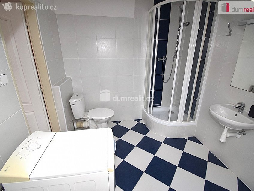 Pronájem bytu 1+kk 25 m^2 Nad Palatou, Praha 5 