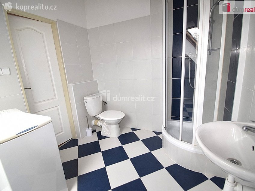 Pronájem bytu 1+kk 25 m^2 Nad Palatou, Praha 5 