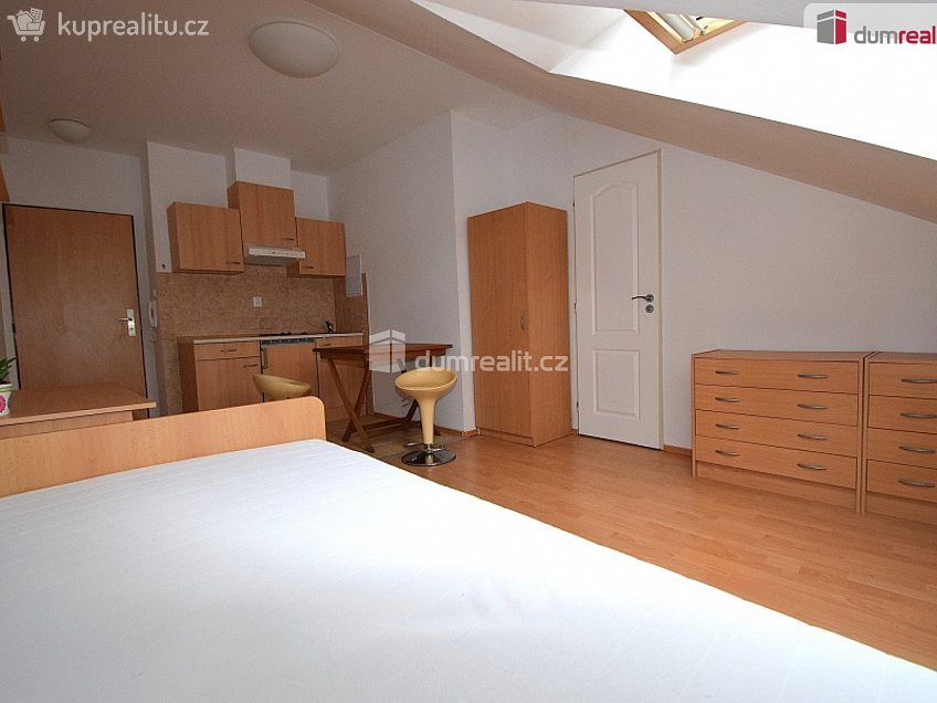 Pronájem bytu 1+kk 25 m^2 Nad Palatou, Praha 5 