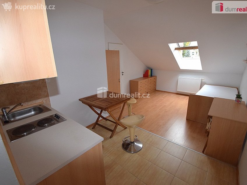 Pronájem bytu 1+kk 25 m^2 Nad Palatou, Praha 5 