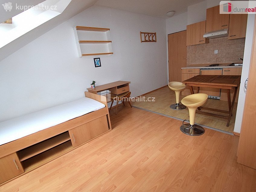 Pronájem bytu 1+kk 25 m^2 Nad Palatou, Praha 5 