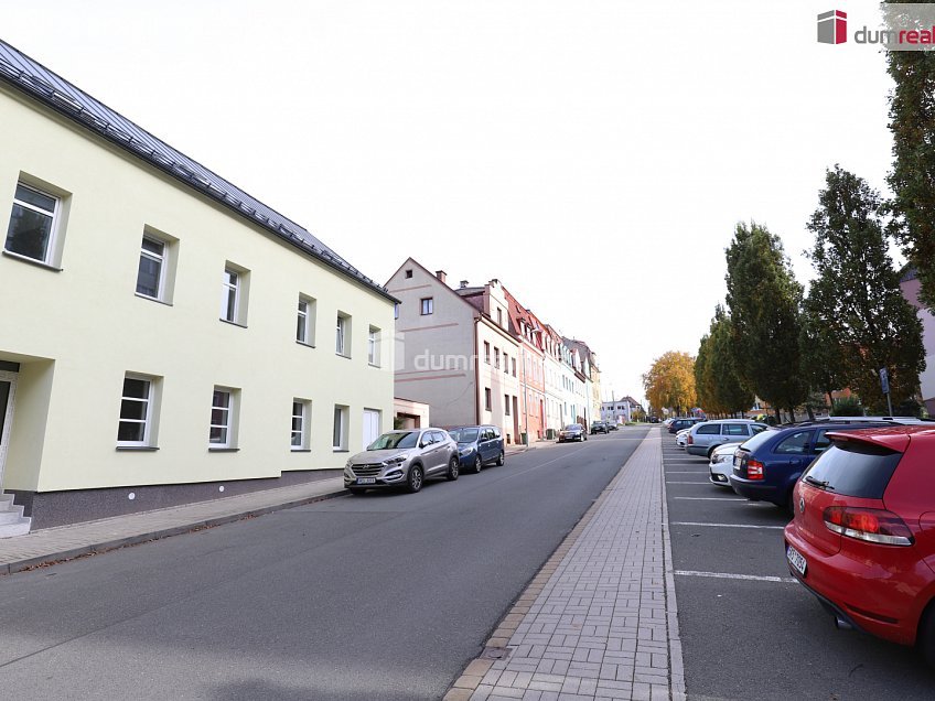 Prodej  vily 320 m^2 Dlouhá, Aš 