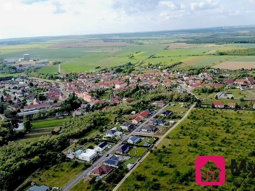 Prodej  sadů/vinic 60000 m^2 Mikulovice, Mikulovice 