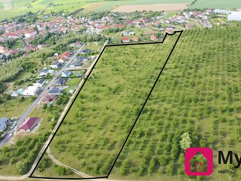 Prodej  sadů/vinic 60000 m^2 Mikulovice, Mikulovice 