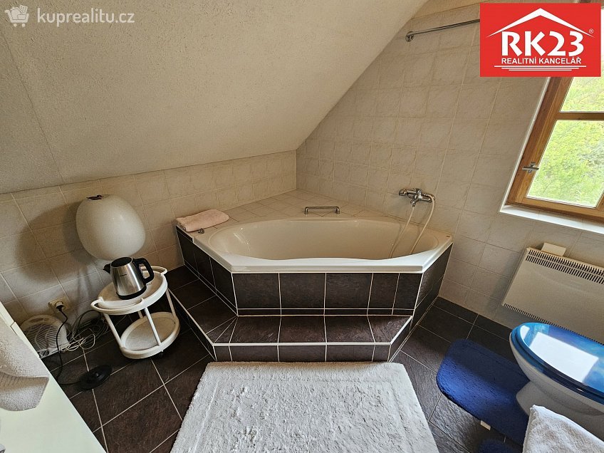 Prodej  rodinného domu 249 m^2 Bor 29, Bor 