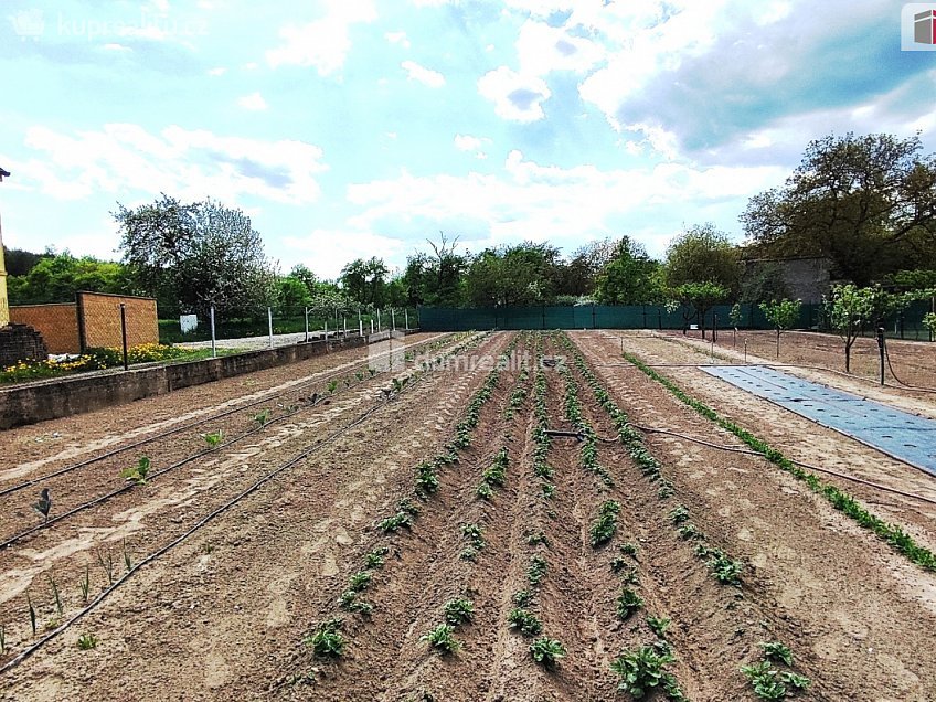 Prodej  zemědělských prostor 281 m^2 Liběšice, Liběšice 