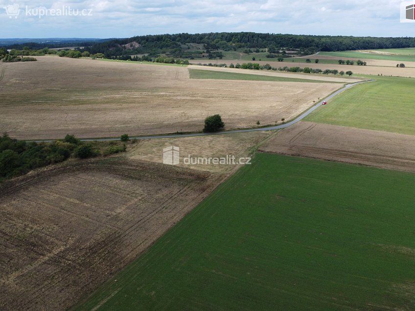 Prodej  pozemku 3943 m^2 Sýkořice, Sýkořice 