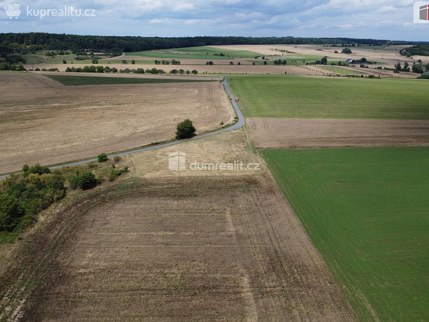 Prodej  pozemku 3943 m^2 Sýkořice, Sýkořice 