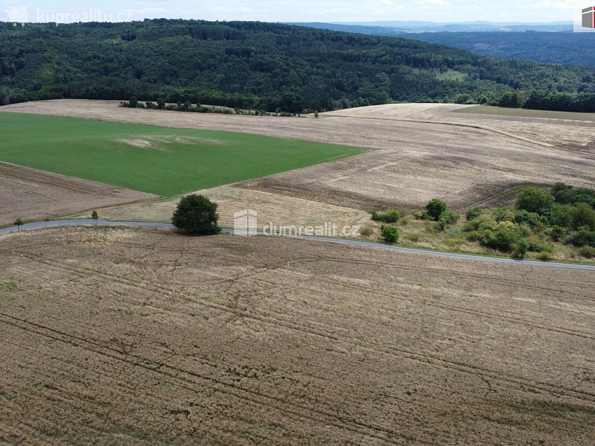 Prodej  pozemku 3943 m^2 Sýkořice, Sýkořice 