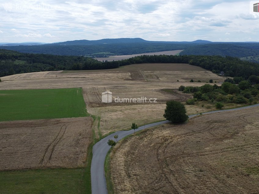 Prodej  pozemku 3943 m^2 Sýkořice, Sýkořice 