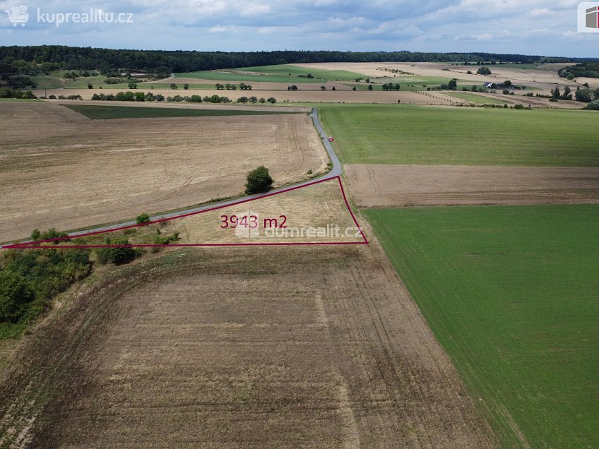 Prodej  pozemku 3943 m^2 Sýkořice, Sýkořice 
