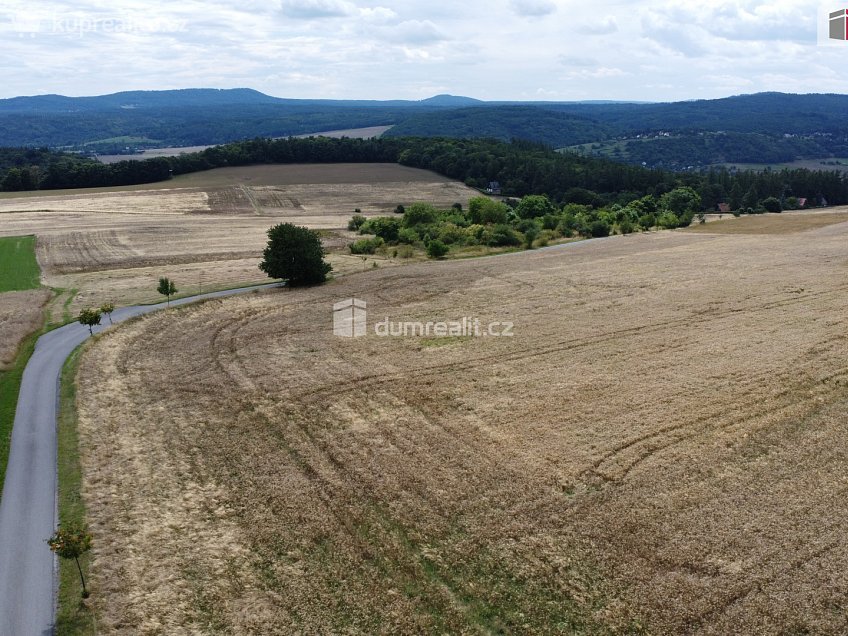 Prodej  pozemku 3943 m^2 Sýkořice, Sýkořice 