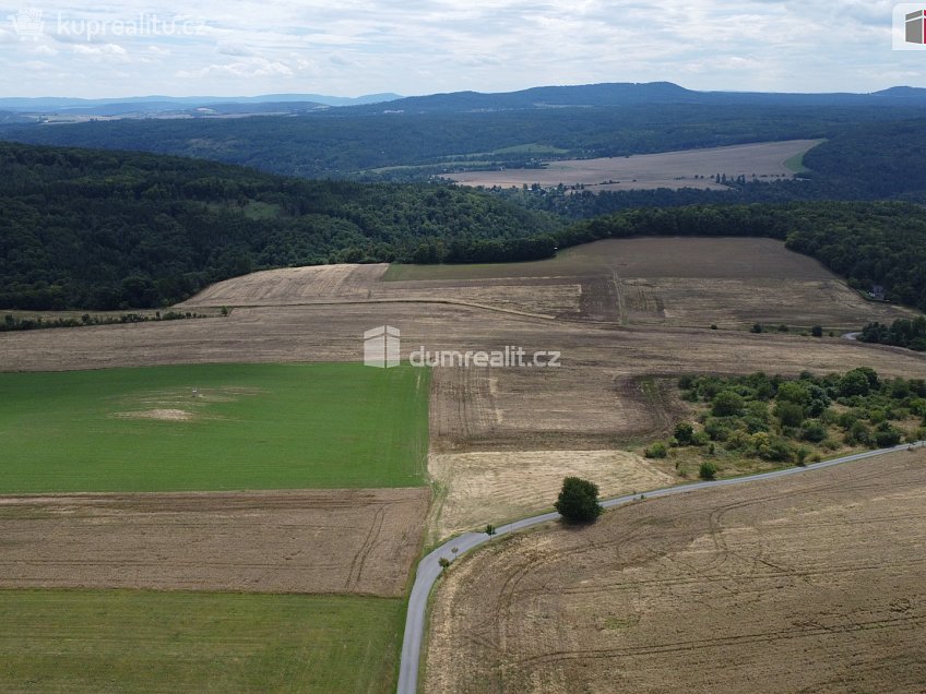 Prodej  pozemku 3943 m^2 Sýkořice, Sýkořice 