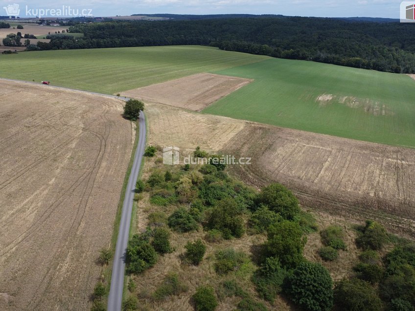 Prodej  pozemku 3943 m^2 Sýkořice, Sýkořice 