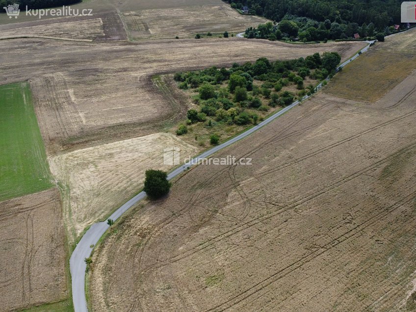Prodej  pozemku 3943 m^2 Sýkořice, Sýkořice 