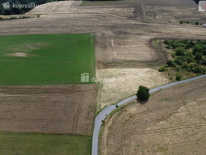 Prodej  pozemku 3943 m^2 Sýkořice, Sýkořice 