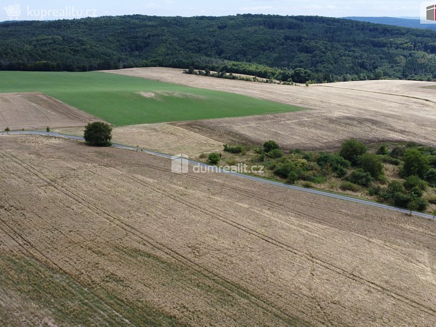 Prodej  pozemku 3943 m^2 Sýkořice, Sýkořice 