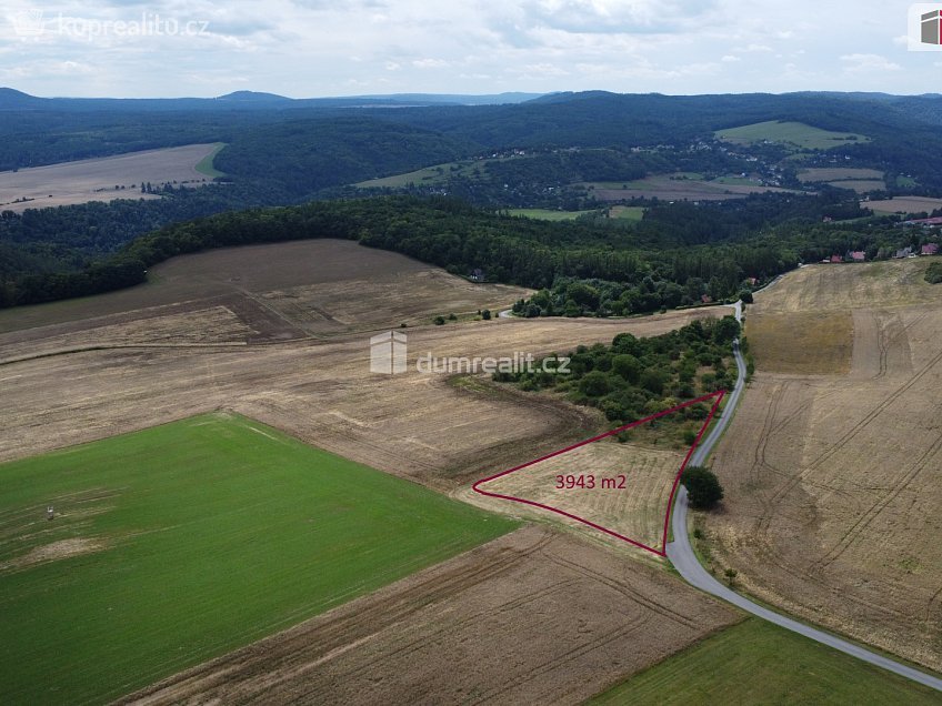 Prodej  pozemku 3943 m^2 Sýkořice, Sýkořice 