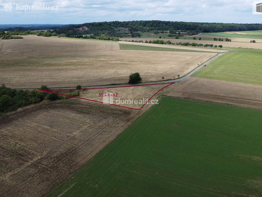 Prodej  pozemku 3943 m^2 Sýkořice, Sýkořice 