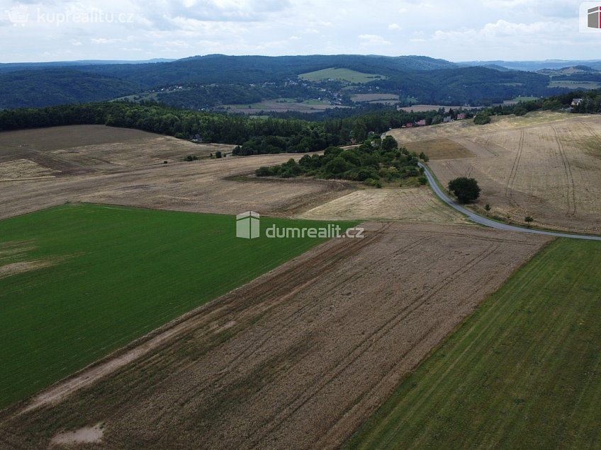 Prodej  pozemku 3943 m^2 Sýkořice, Sýkořice 