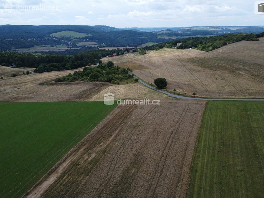 Prodej  pozemku 3943 m^2 Sýkořice, Sýkořice 