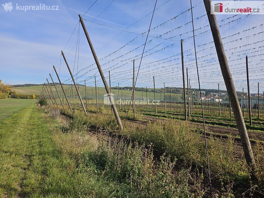 Prodej  pole 3121 m^2 Liběšice, Liběšice 