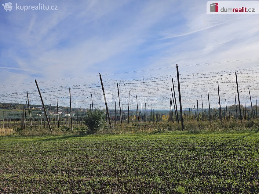 Prodej  pole 3121 m^2 Liběšice, Liběšice 
