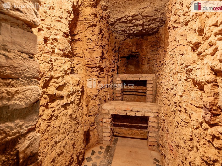 Prodej  obchodních prostor 107 m^2 Viničná, Mladá Boleslav 