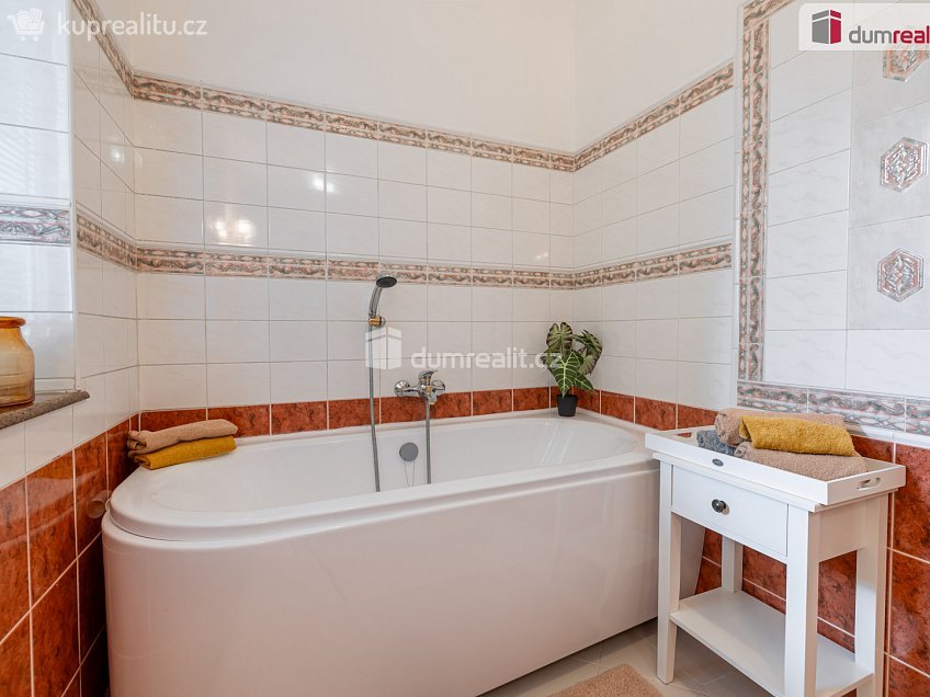 Prodej  rodinného domu 350 m^2 Viničná, Mladá Boleslav 