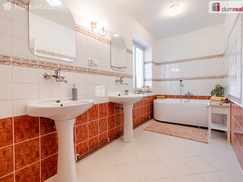 Prodej  rodinného domu 350 m^2 Viničná, Mladá Boleslav 