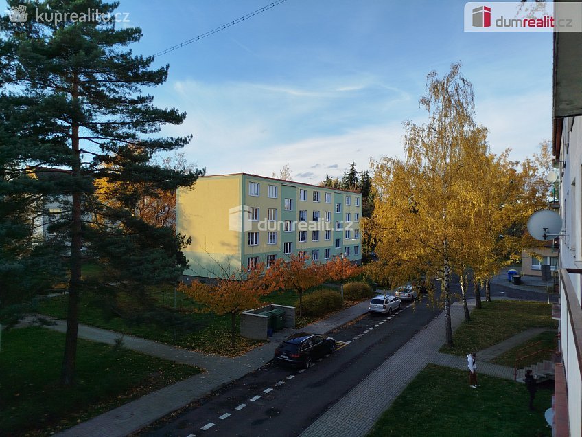 Prodej bytu 3+1 69 m^2 Vintířov, Vintířov 