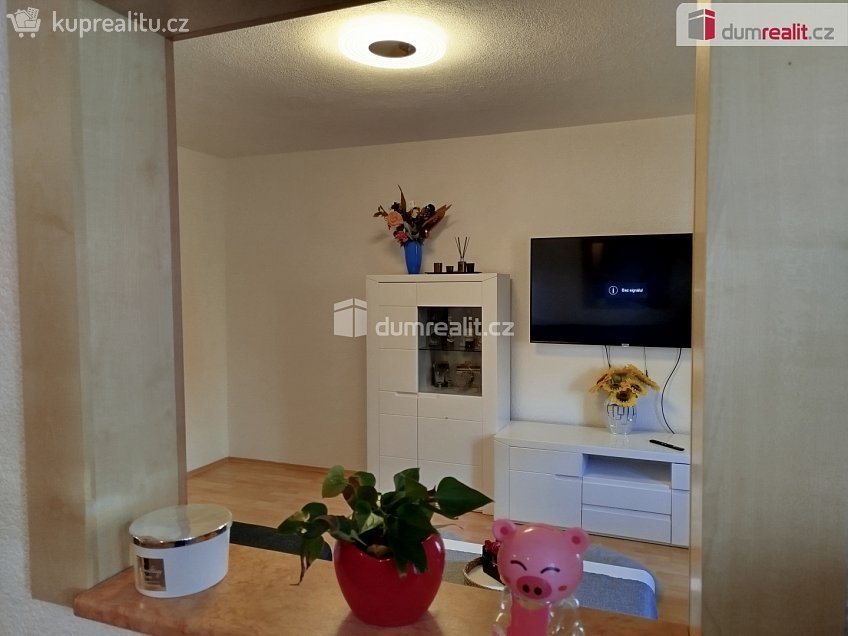 Prodej bytu 3+1 69 m^2 Vintířov, Vintířov 