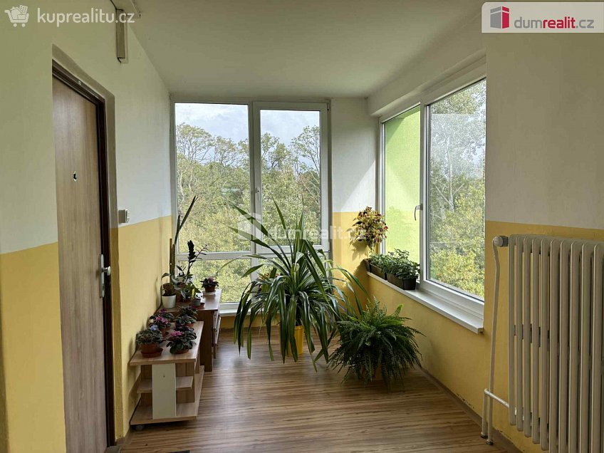 Pronájem bytu 1+1 30 m^2 Školní, Otrokovice 