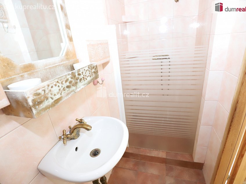 Prodej  rodinného domu 250 m^2 Jana Žižky, Dolní Rychnov 